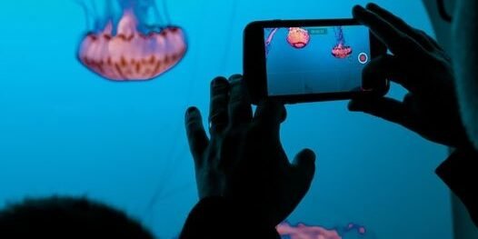 Tik Tok and Instagram Reels prove the value of short form, ‘snackable’ content | DMX Marketing Experts Tik Tok and Instagram Reels prove the value of short form, 'snackable' content | DMX Marketing Experts