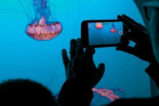 Tik Tok and Instagram Reels prove the value of short form, ‘snackable’ content | DMX Marketing Experts Tik Tok and Instagram Reels prove the value of short form, 'snackable' content | DMX Marketing Experts