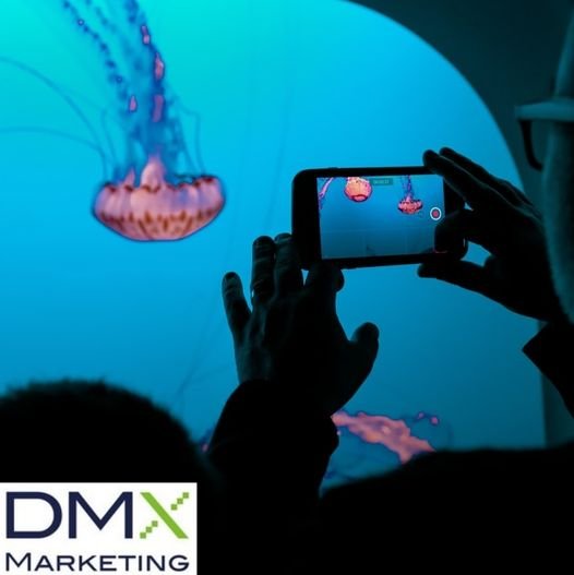 Tik Tok and Instagram Reels prove the value of short form, 'snackable' content | DMX Marketing Experts